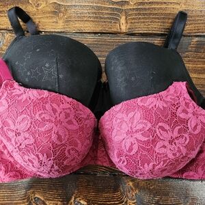 Lace Push-Up Bra in Black and Pink